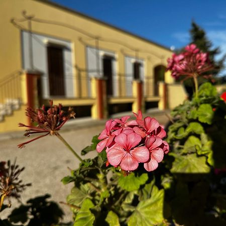 Agriturismo Il Trappeto Gallipoli Zewnętrze zdjęcie