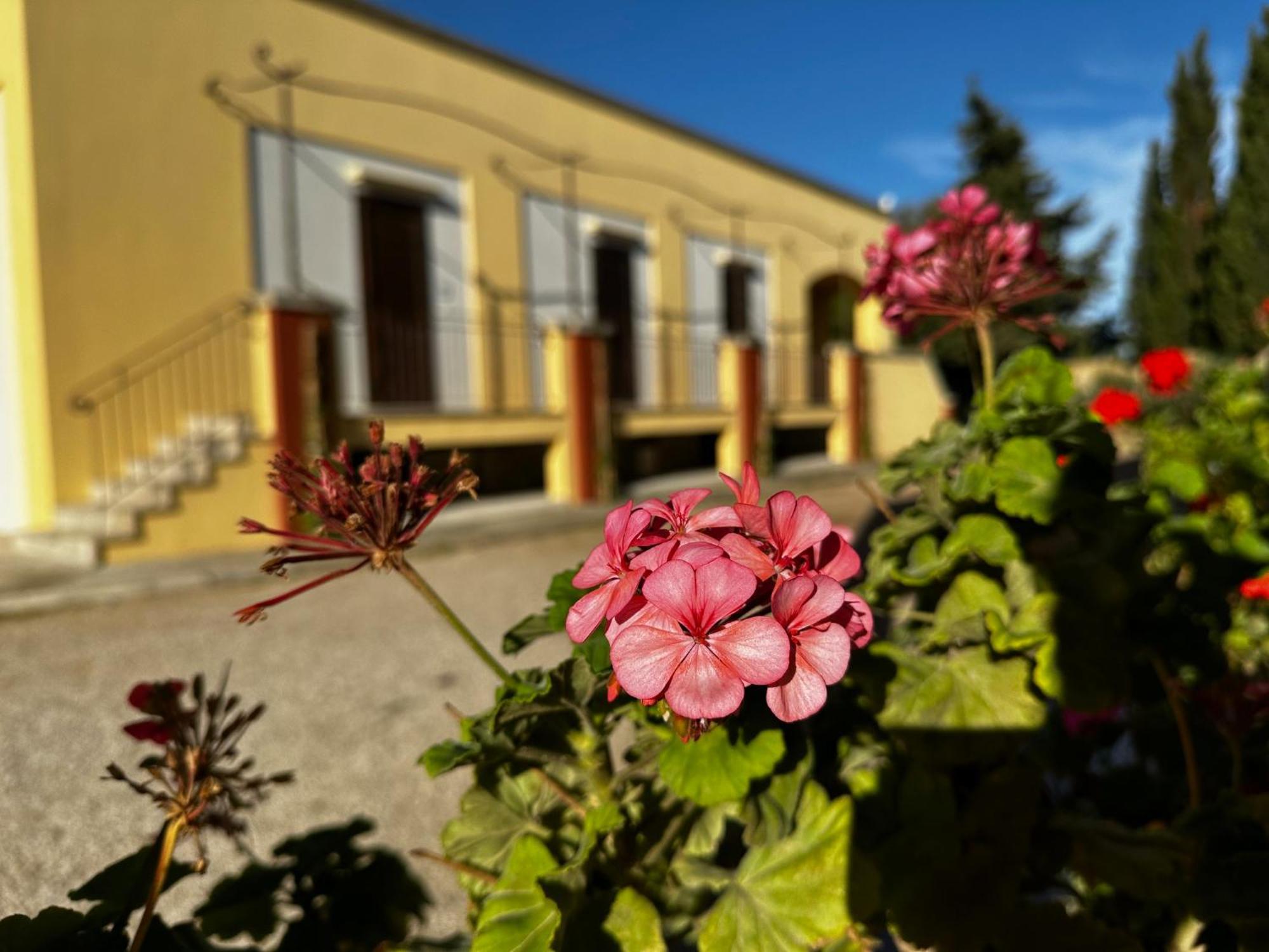 Agriturismo Il Trappeto Gallipoli Zewnętrze zdjęcie