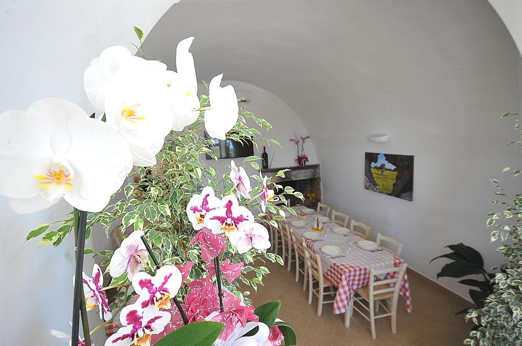 Agriturismo Il Trappeto Gallipoli Zewnętrze zdjęcie